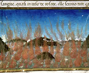 Predis: The end of the world and the Last Judgement. The sea will bu