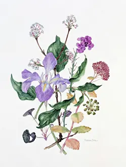 Bowles: The End of the Year? flower design