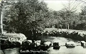 Stepping: Endcliffe Park, Sheffield, Yorkshire