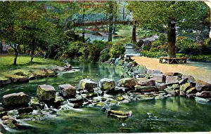 Stepping: Endcliffe Park, Sheffield, Yorkshire