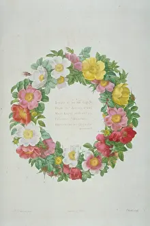 Endpiece: Endpiece wreath