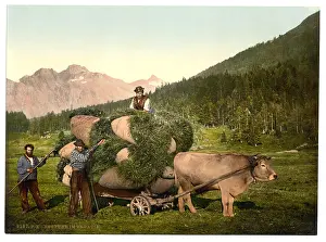 Engadine: Engadine, carrying hay in the Engadine, Grisons, Switzerland