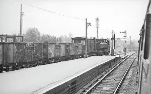 Pannier: Engine with coal trucks