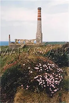 Pendeen: ENGINE HOUSE, LELANT