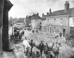 Driven: ENGLAND/AMERSHAM 1890