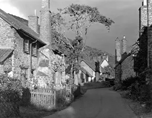 Shadowy: ENGLAND/BOSSINGTON