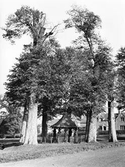 Easterly: ENGLAND/CHENIES