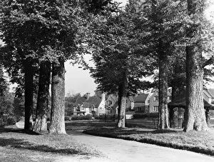 Easterly: ENGLAND/CHENIES