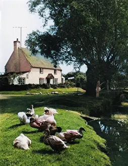 Nene: ENGLAND/DODFORD