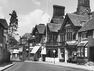 Nestling: ENGLAND/GODALMING 1950S