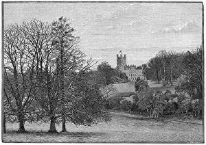Parkland: ENGLAND/HIGHCLERE CASTLE