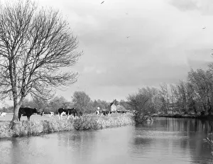 Stour: ENGLAND/RIVER STOUR