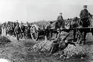 Aisne: English artillery troops at the Western Front, 1914