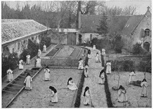 Cultivating: English Bernardines at Biarritz 1908