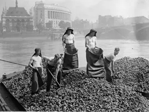 Coals: English colliers