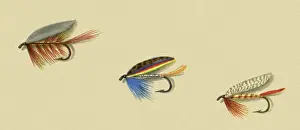 Atherton: Three English Flies