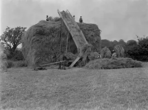Haymakers: ENGLISH HAYMAKERS 1930S