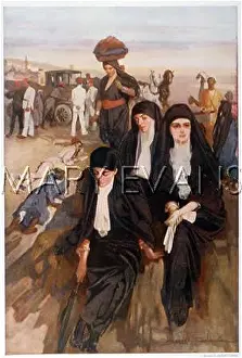 Egypts: ENGLISH LADIES IN EGYPT