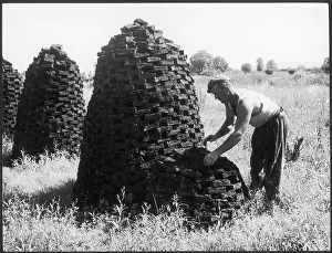 Turves: ENGLISH PEAT INDUSTRY