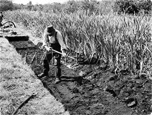 Tidying: ENGLISH PEAT INDUSTRY