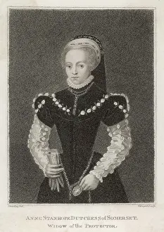 Stanhope: English Widow 1552