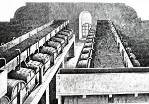 Vats: An engraving of Brewing: cleansing tanks in which