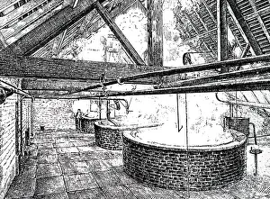Brewing: An engraving of brewing coppers, in which wort