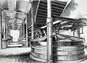 Tuns: An engraving of BREWING: mash tuns, in which barley