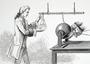 Generator: Engraving depicting Andreas Cunaeus using a Leyden