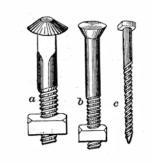 Bolt: Engraving depicting bolts and nuts