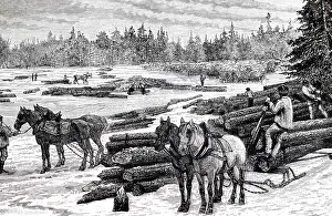 Raft: An engraving depicting Canadian loggers