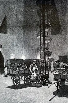 Baskets: An engraving depicting a chain of baskets raising Champagne