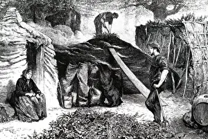 Charcoal: An engraving depicting charcoal burners in Epping Forest