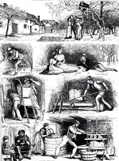 Cider: An engraving depicting cider making in Devon, England. 1883