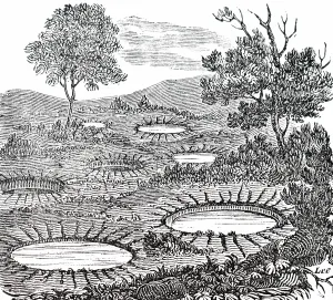 1783: An engraving depicting circular hollows caused