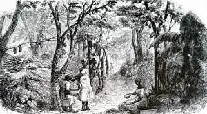 Confectionary: An engraving depicting the cocoa plantation on