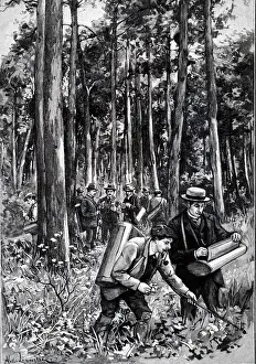 Fontainebleau: An engraving depicting the collecting of botanical specimens