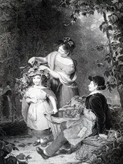 Hops: An engraving depicting the Crown of Hop