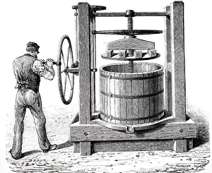 Grapes: An engraving depicting the crushing grapes for