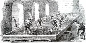 1854: An engraving depicting the crushing and treading