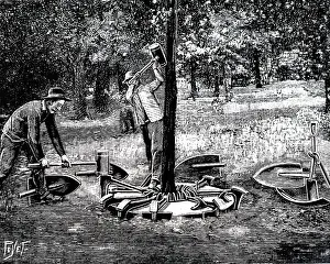 Roots: An engraving depicting a device for cutting round