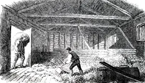 Immediately: An engraving depicting Devonshire cider