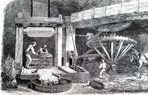 Pounded: An engraving depicting Devonshire cider