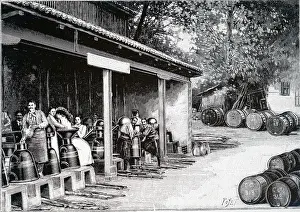 Distillation: An engraving depicting the distillation process of roses