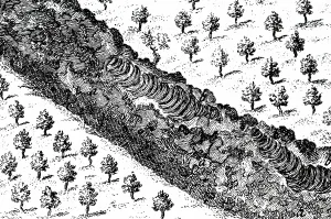Eruption: An engraving depicting the eruption of Mount Vesuvius