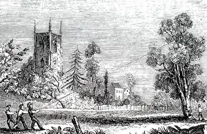 Firewood: Engraving depicting the felling of a tree