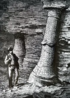 Etienne: An engraving depicting a fossil tree trunk in a coal mine