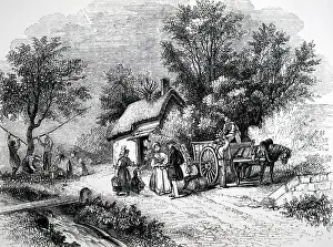 Cider: An engraving depicting the gathering of cider