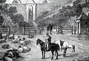 Telford: An engraving depicting Highgate Archway