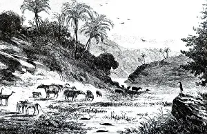 Imaginary: An engraving depicting an imaginary landscape
